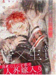 武动乾坤